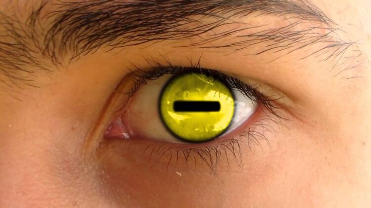 Interesting Facts About Sharingan And Naruto Contact Lenses