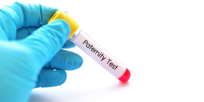 Demystifying Paternity Testing Common Questions and Answers